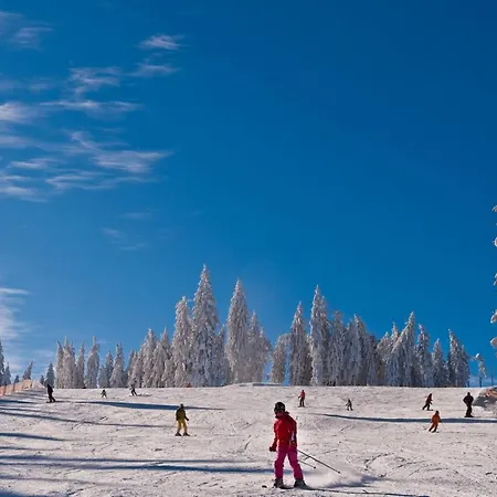 U Safaru Apartment Lipno nad Vltavou